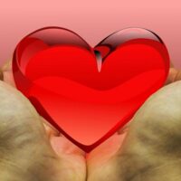Supporto